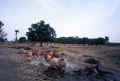 aire de cuisson du village de Oullo (proche de Boromo)