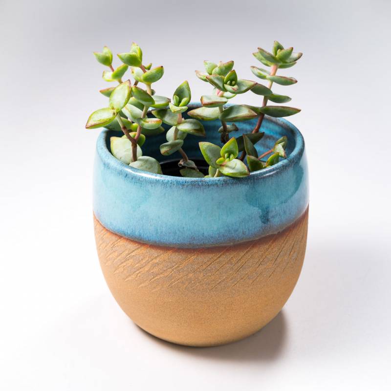 pot à plante, cache pot