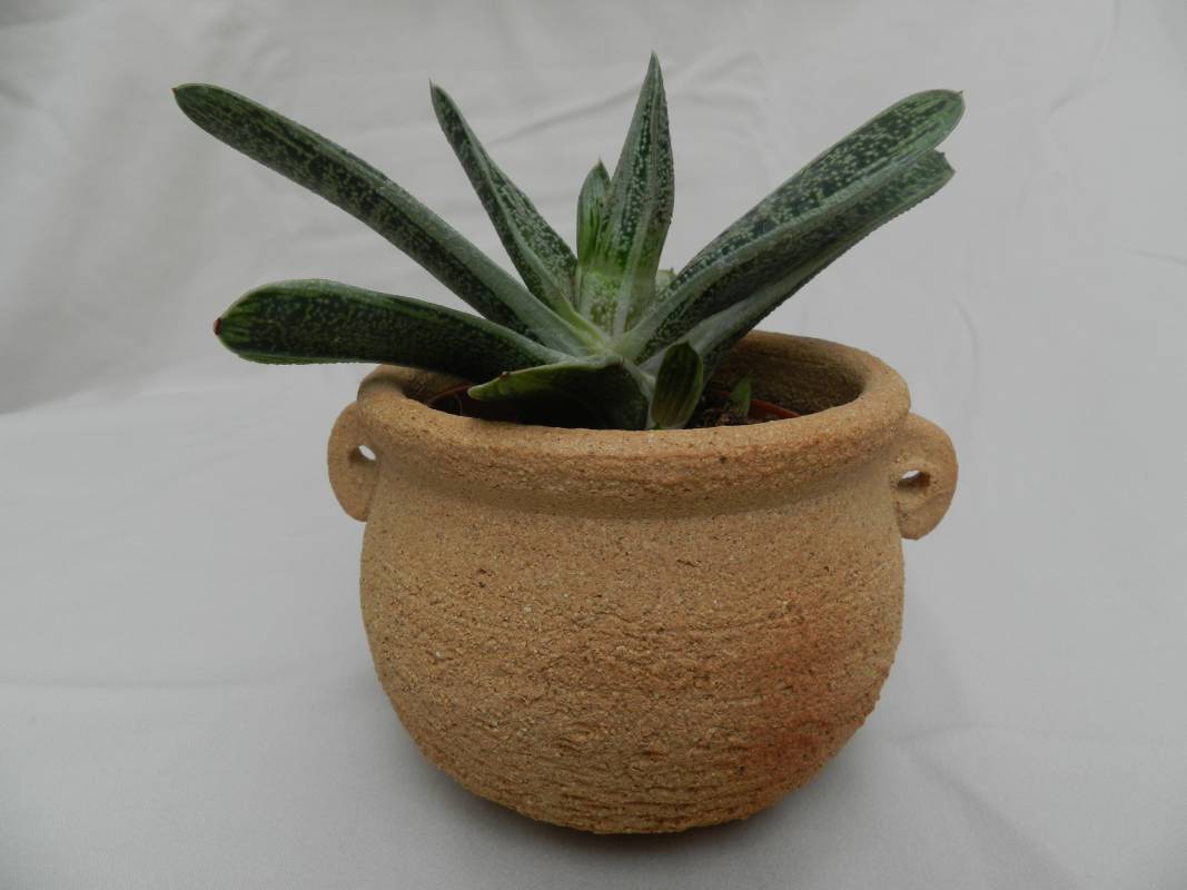 pot à plante en grès