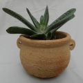 pot à plante en grès