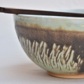 texture coquillage